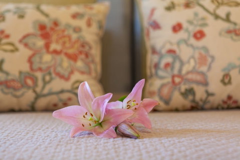 Stonewell Cottages & Vineyards - Accommodation Ballina 2
