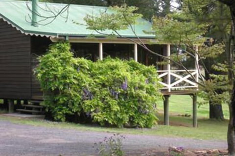 Madison's Mountain Retreat - Accommodation Ballina 1