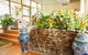 Kempsey Rose Motor Inn - thumb 4
