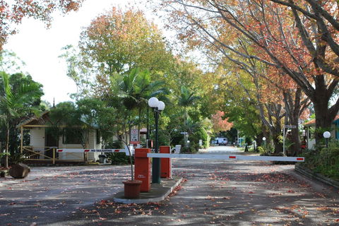 Lani's Holiday Island - Caravan Park - Accommodation Ballina 1