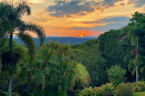 Daintree Manor Bed & Breakfast - Accommodation Ballina 0