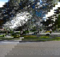 Greenacres Motel - Accommodation Ballina