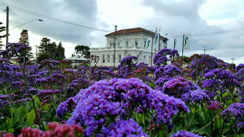 Georgia - Accommodation Ballina 3