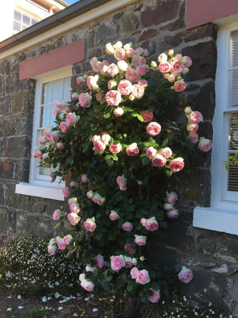 Georgia - Accommodation Ballina 6