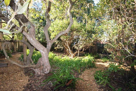 Stonewall Cottage For Two With Fireplace - Accommodation Ballina 2