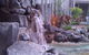 Noosaville Resort Living On Noosa River Gympie Terrace - thumb 4