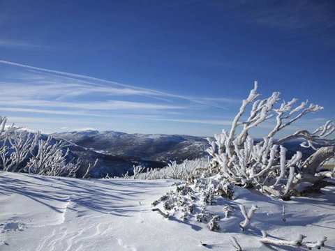 Tanderra 18 / 28 Park Road - Accommodation Ballina 3