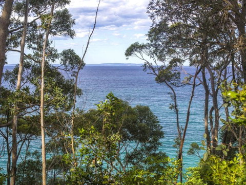 Blissful Bannister Retreat - Accommodation Ballina 4