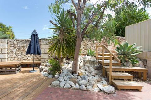 Dingo At White Gum Lodge - Accommodation Ballina 4