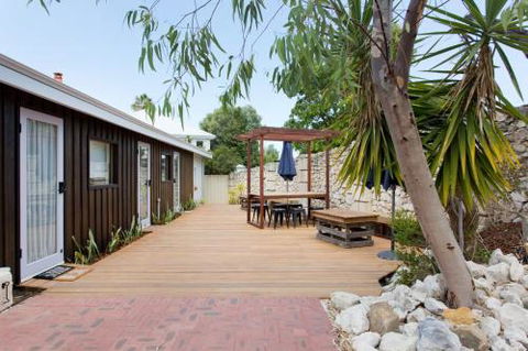 Dingo At White Gum Lodge - Accommodation Ballina 2