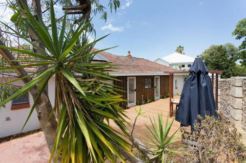 Dingo At White Gum Lodge - Accommodation Ballina 5