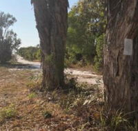 COONARR BEACH  BUNDABERG CAMPING - Accommodation Ballina