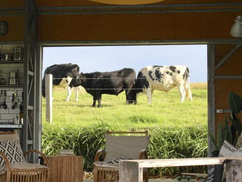 THE SHED Gerroa 4pm Checkout On Sundays & Public Holidays - Accommodation Ballina 6