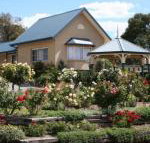 Willows Motel - Accommodation Ballina