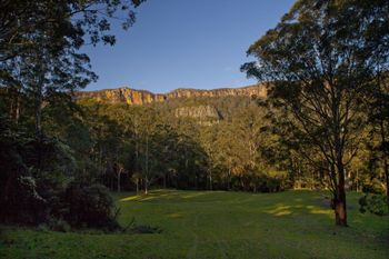 The Cedars Cottages - Accommodation Ballina 3