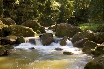 The Cedars Cottages - Accommodation Ballina 2