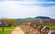 Breakneck Gorge Akora - thumb 6