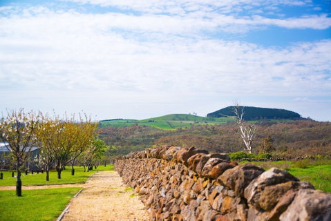 Breakneck Gorge Akora - Accommodation Ballina 6