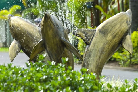 Cairns Coconut Holiday Resort - Accommodation Ballina 1