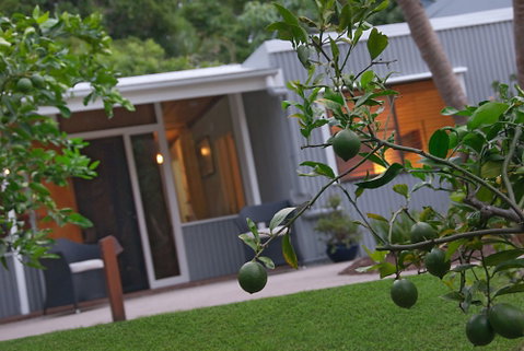 Gecko Shed - Accommodation Ballina 6