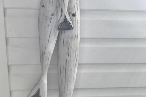 Byron Springs - Accommodation Ballina 1