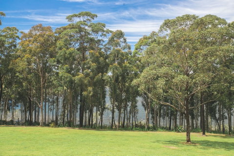The Jackson Ranch - Accommodation Ballina 4