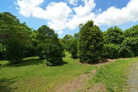 Tea Tree Cottage - Accommodation Ballina 5