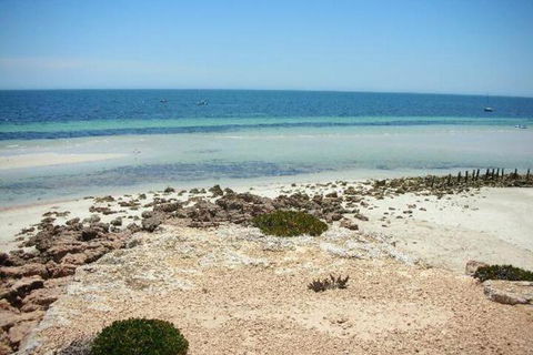 Amelia S Bed & Breakfast - Accommodation Ballina 4