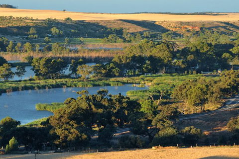 Riverview Rise Retreats - Accommodation Ballina 5