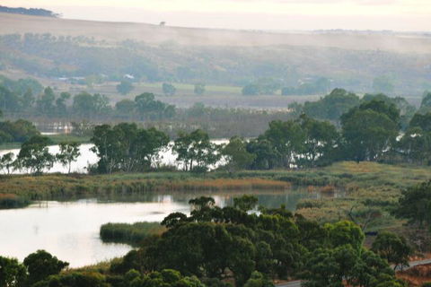 Riverview Rise Retreats - Accommodation Ballina 6