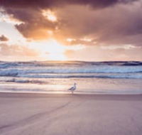 Blue Waters Motel - Accommodation Ballina