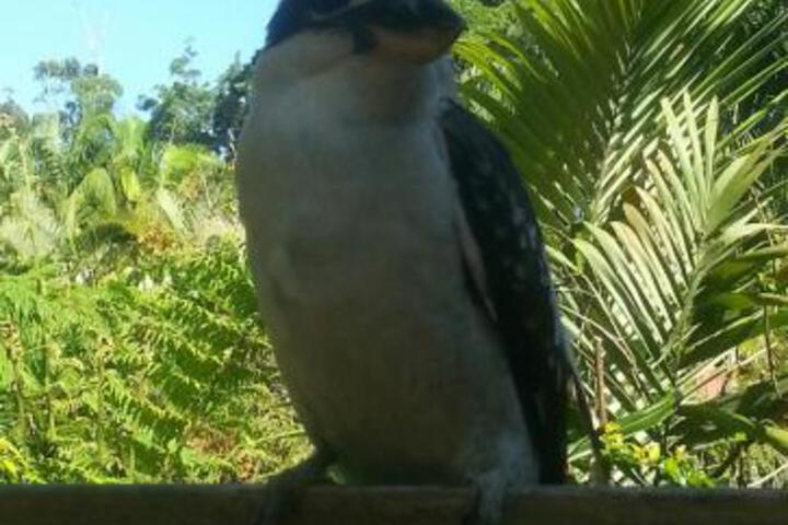 Moonee Beach NSW Accommodation Ballina