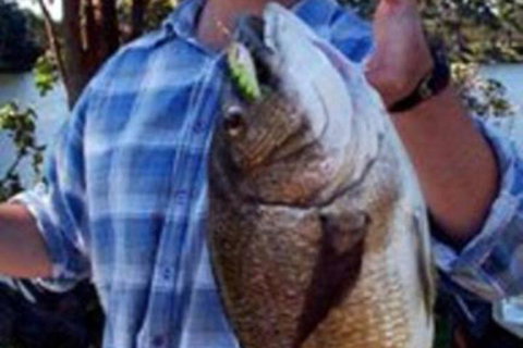 Orbost Country Road Motor Inn - Accommodation Ballina 4