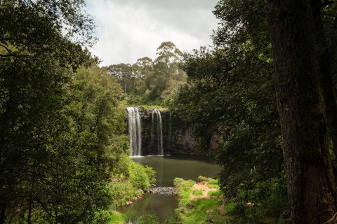 The Belfry Guesthouse - Accommodation Ballina 3