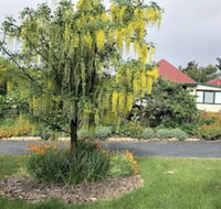 Hamlet Downs Country Accommodation - Accommodation Ballina