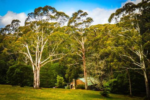 Ghost Hill Road Retreat - Accommodation Ballina 6