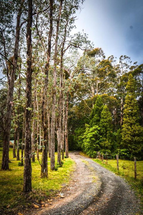 Ghost Hill Road Retreat - Accommodation Ballina 2