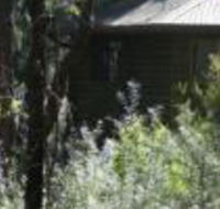Twin Falls Bush Cottages - Accommodation Ballina