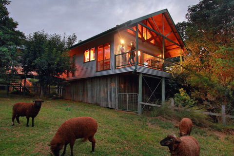 Worendo Cottages - Accommodation Ballina 3