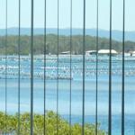 Montgomery Apartments - Accommodation Ballina 1