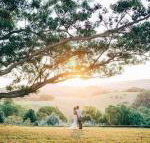 Cedia at Byron Bay Hinterland - Accommodation Ballina