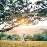 Cedia At Byron Bay Hinterland - Accommodation Ballina 0
