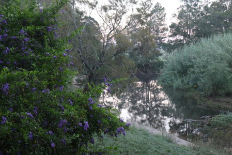 Serendipity On Allyn - Accommodation Ballina 7