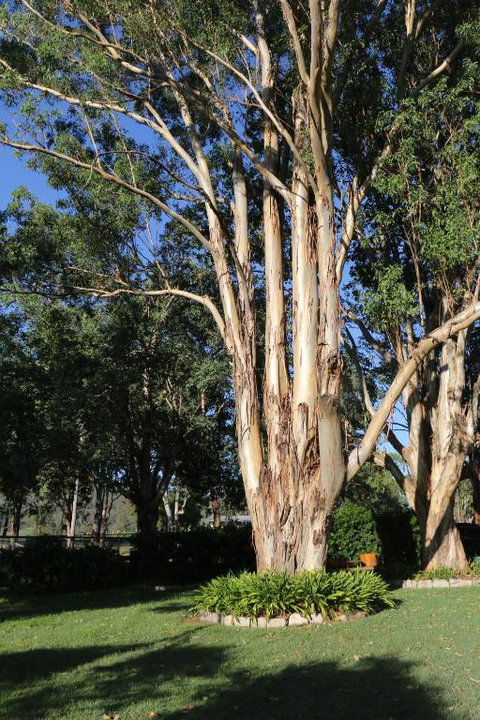 Serendipity On Allyn - Accommodation Ballina 5