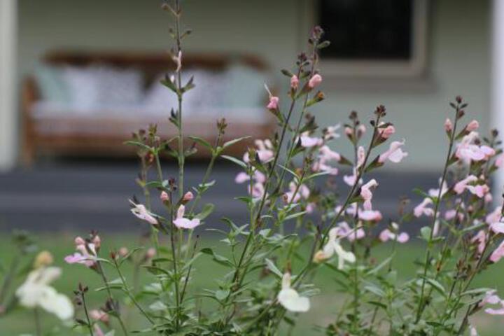 Gresford ACT Accommodation Ballina