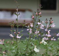 Serendipity on Allyn - Accommodation Ballina