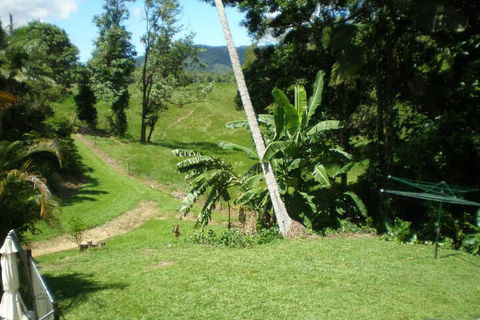 Daintree Village Hideaway - Accommodation Ballina 5