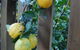 Highclaire House Bed & Breakfast - thumb 1