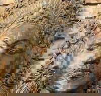 Ballina Palms Boutique Motel - Accommodation Ballina