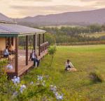 Hanging Tree Wines - Accommodation Ballina